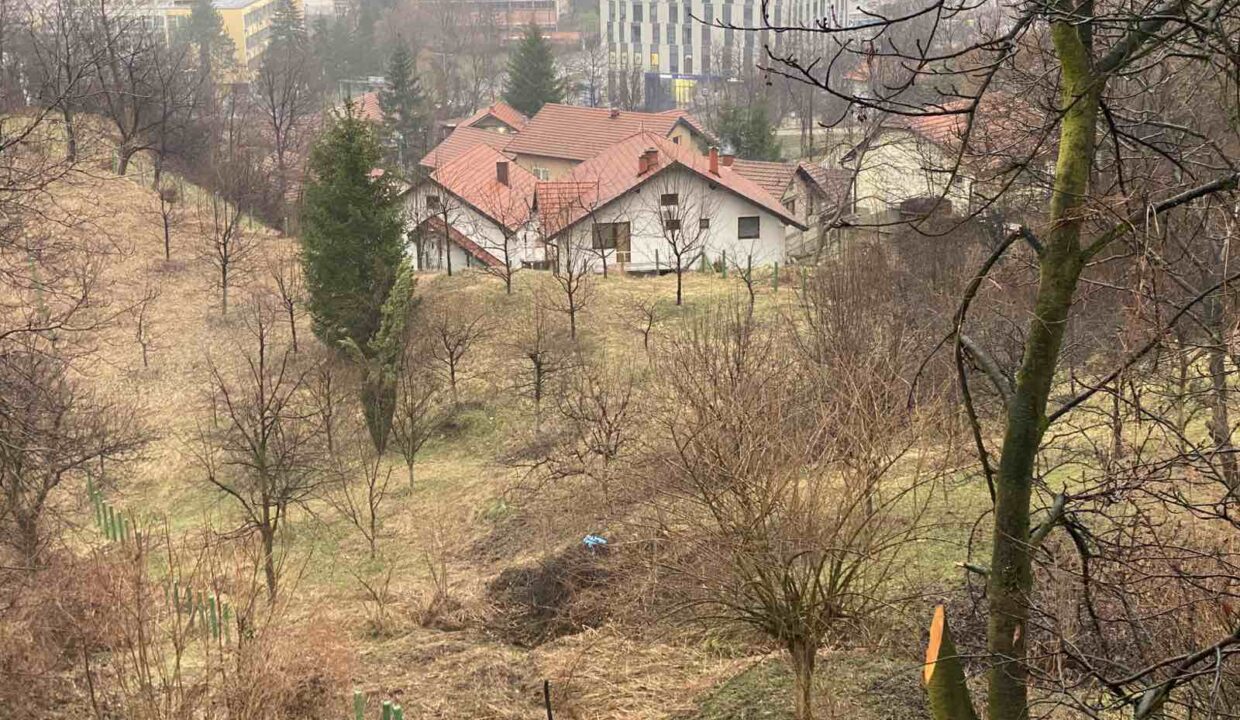 IMG-448af646c2166e93db28b94385f25778-V